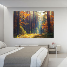 Load image into Gallery viewer, Autumn Forest