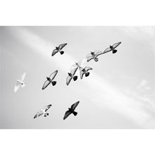 Load image into Gallery viewer, Soaring High