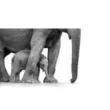 Load image into Gallery viewer, Mom & Baby Elephant freeshipping - Beautiful Spaces Store