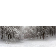 Load image into Gallery viewer, Misty Trees freeshipping - Beautiful Spaces Store