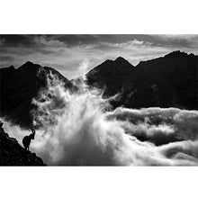 Load image into Gallery viewer, Mountain Top freeshipping - Beautiful Spaces Store