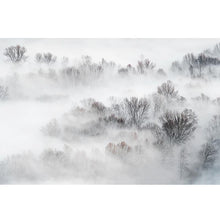 Load image into Gallery viewer, Misty Treetops freeshipping - Beautiful Spaces Store