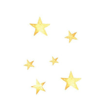 Load image into Gallery viewer, Blue Ellie Theme