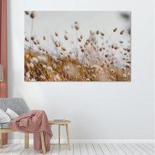 Load image into Gallery viewer, Bunny Tail Grass