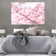 Load image into Gallery viewer, Cherry Blossoms