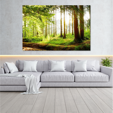 Load image into Gallery viewer, Green Forest