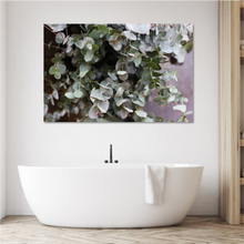 Load image into Gallery viewer, Grey Green Eucalyptus
