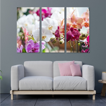 Load image into Gallery viewer, Mixed Orchid