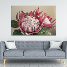 Load image into Gallery viewer, Protea Duo