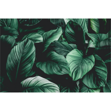 Load image into Gallery viewer, Tropical Leaves