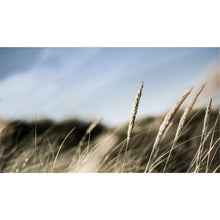 Load image into Gallery viewer, Straw Grass