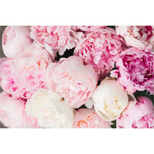 Load image into Gallery viewer, Rich Pink Peonies