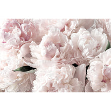 Load image into Gallery viewer, Pale Pink Peony Canvas