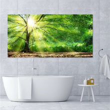 Load image into Gallery viewer, Sunlight Through Trees
