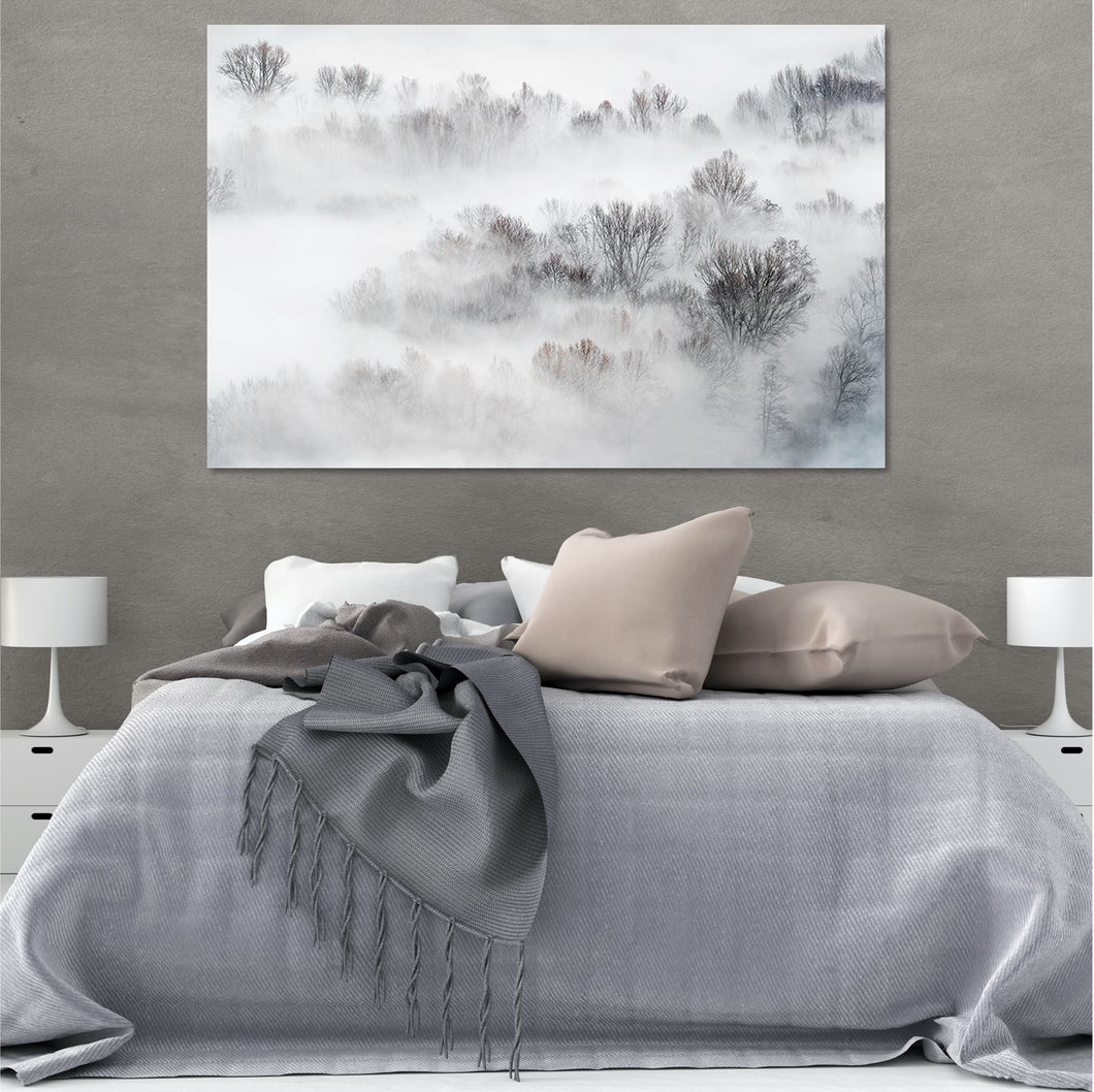 Misty Trees