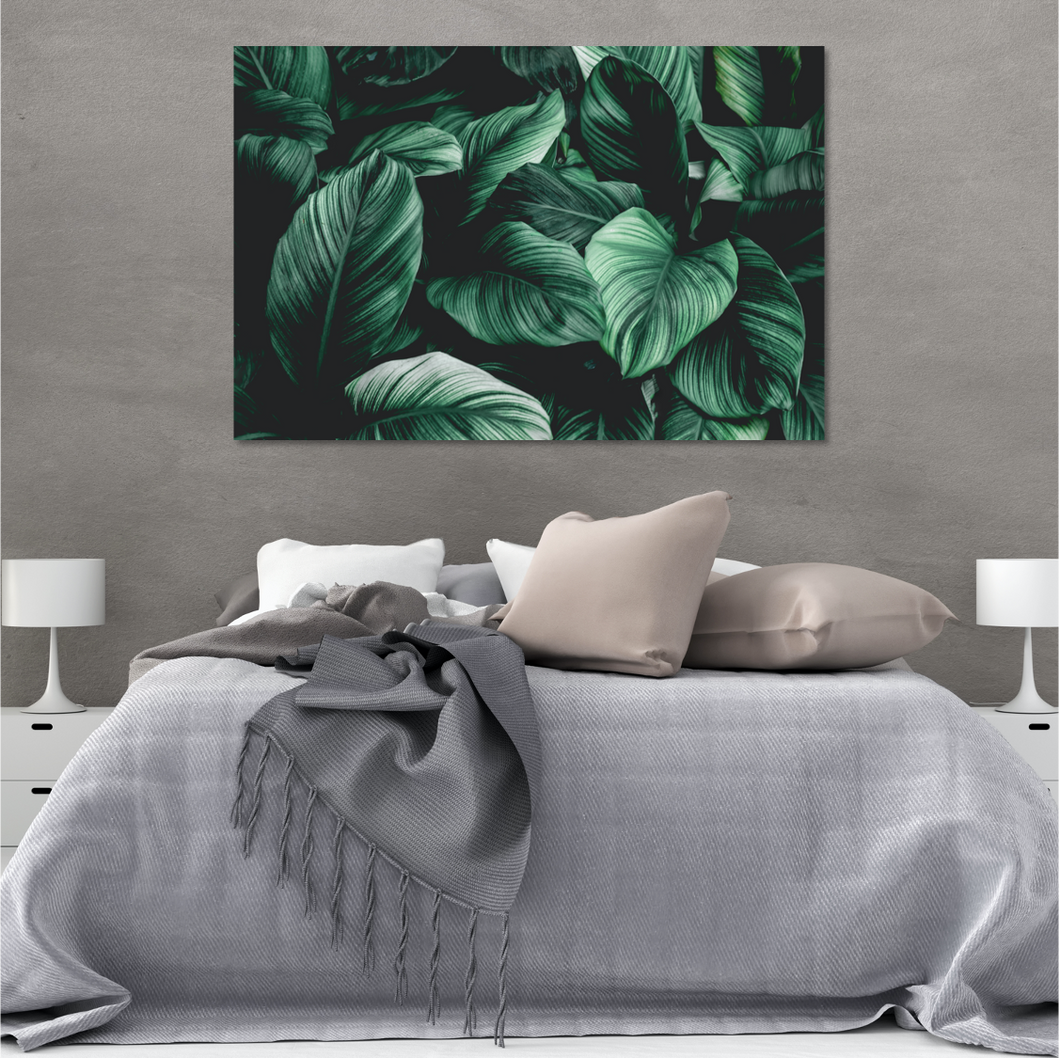Tropical Leaves