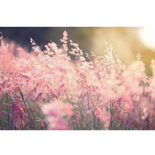 Load image into Gallery viewer, Pink Flowers freeshipping - Beautiful Spaces Store
