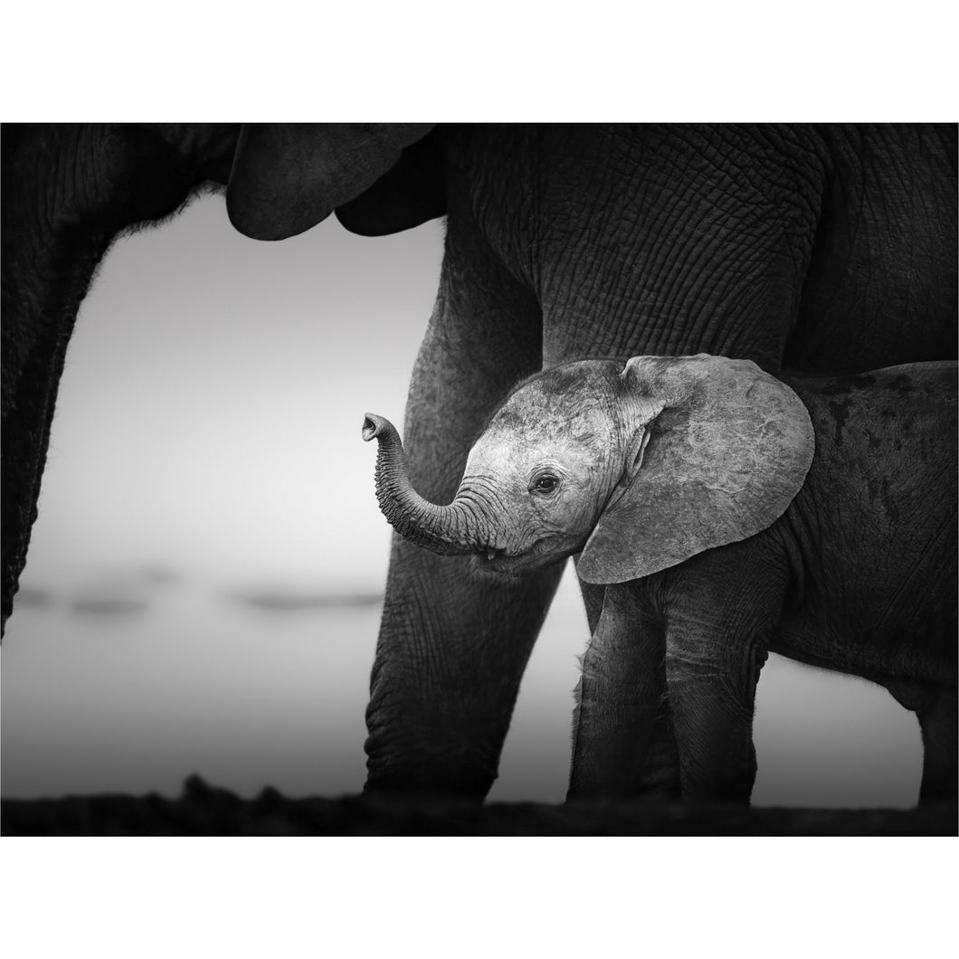 Mother & Baby Ellie