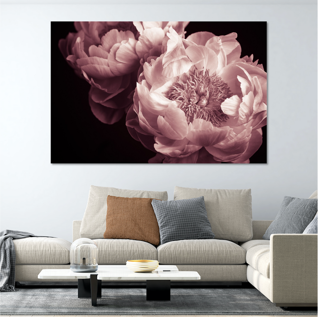 Dark Pink Peonies