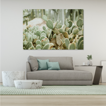 Load image into Gallery viewer, Desert Cacti
