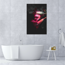Load image into Gallery viewer, Droplets on Flower Petals

