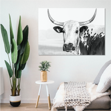 Load image into Gallery viewer, Black and White Nguni
