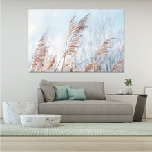 Load image into Gallery viewer, Pampas Grass Blue Sky
