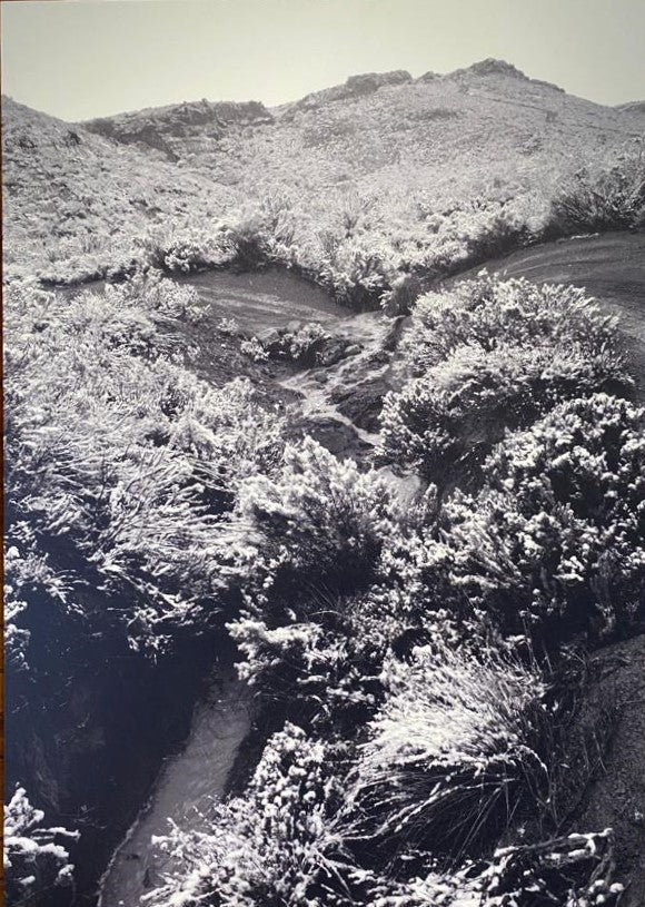 Snowfall in the Karoo