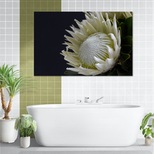 Load image into Gallery viewer, White Protea
