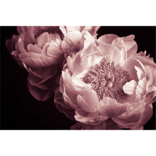 Load image into Gallery viewer, Pink Flower Black Background freeshipping - Beautiful Spaces Store
