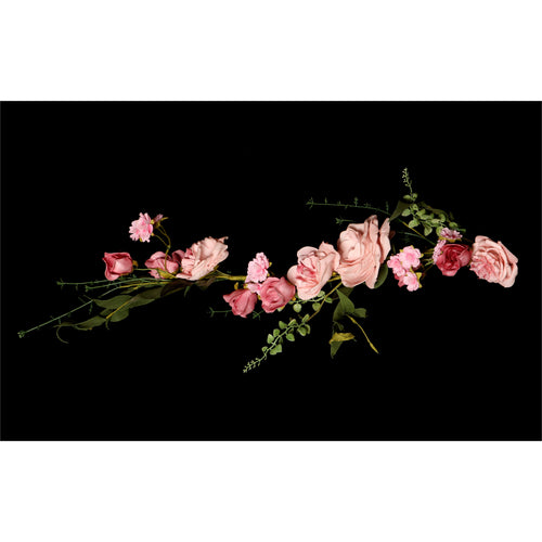 Delicate Pink - Black Background freeshipping - Beautiful Spaces Store