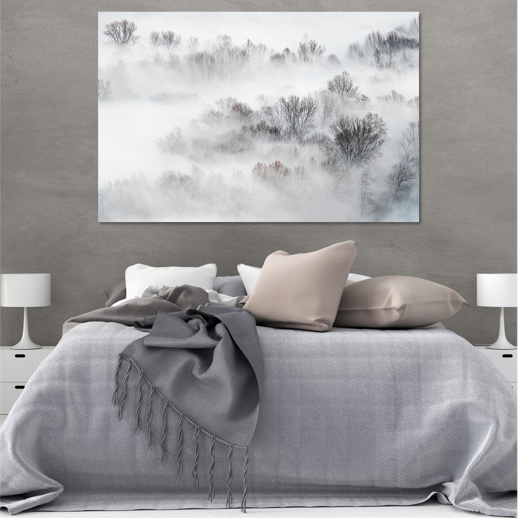 Misty Treetops
