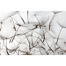 Load image into Gallery viewer, Dandelion
