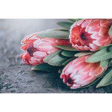 Load image into Gallery viewer, Bunch of Proteas
