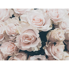 Load image into Gallery viewer, Roses Canvas
