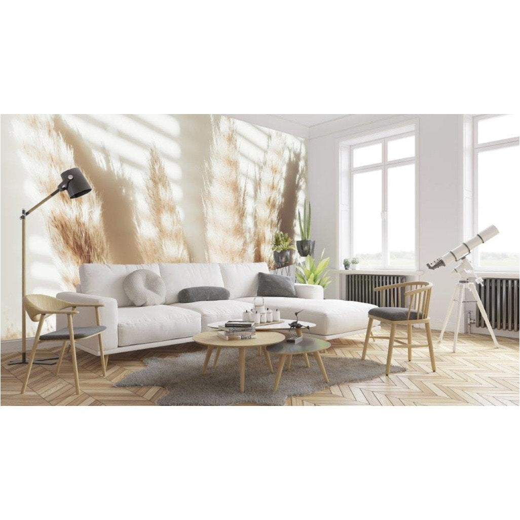 Pampas Grass Wallpaper